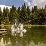 Hotell Almfamilyhotel Scherer 4*