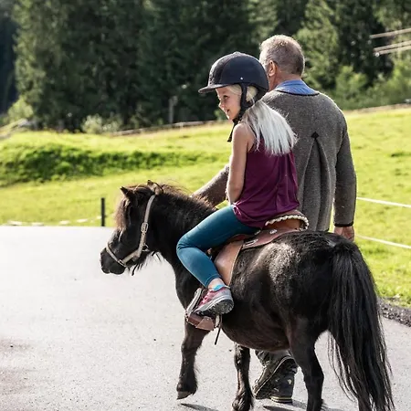 Hotel Almfamilyhotel Scherer 4*