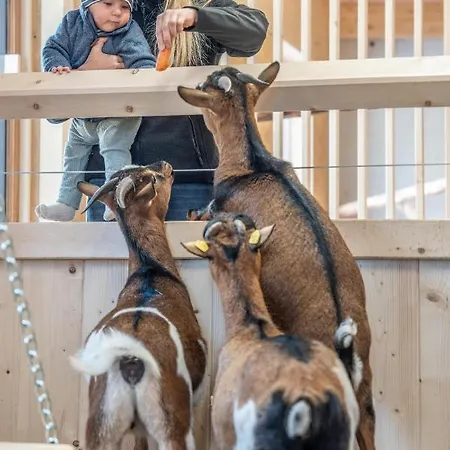 Almfamilyhotel Scherer Hotel 4*