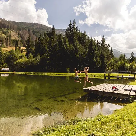 Hotel Almfamilyhotel Scherer