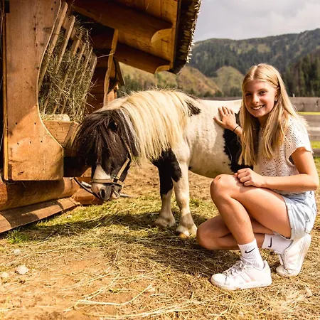 Almfamilyhotel Scherer Obertilliach